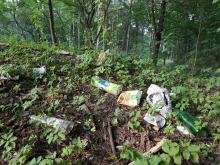 Sprzątanie zielonych terenów małopolski