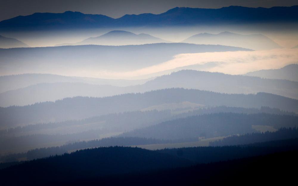 Fot&#x2e;&#x20;Paweł&#x20;Fabijański&#x2e;&#x20;Lasy&#x20;Państwowe